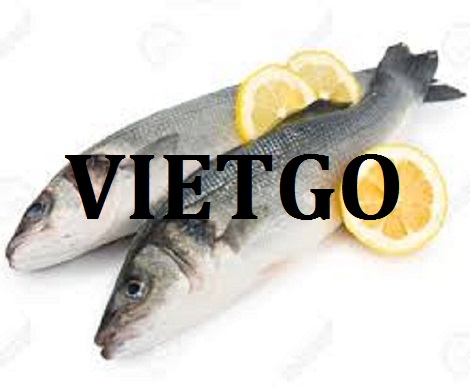 Cá Basa Vietgo